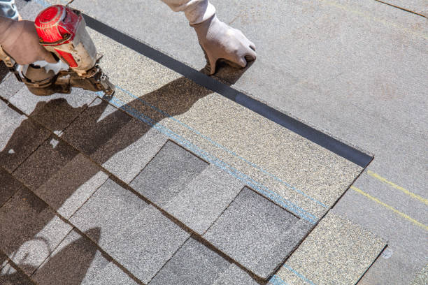 Best Roof Leak Repair  in East Vineland, NJ